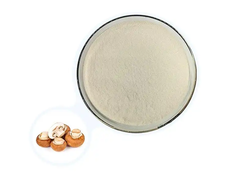 Chitosan Powder Free Sample for Food, Pharma, and Cosmetics